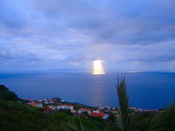 Остров Мадейра. Веселые картинки для хорошего настроения