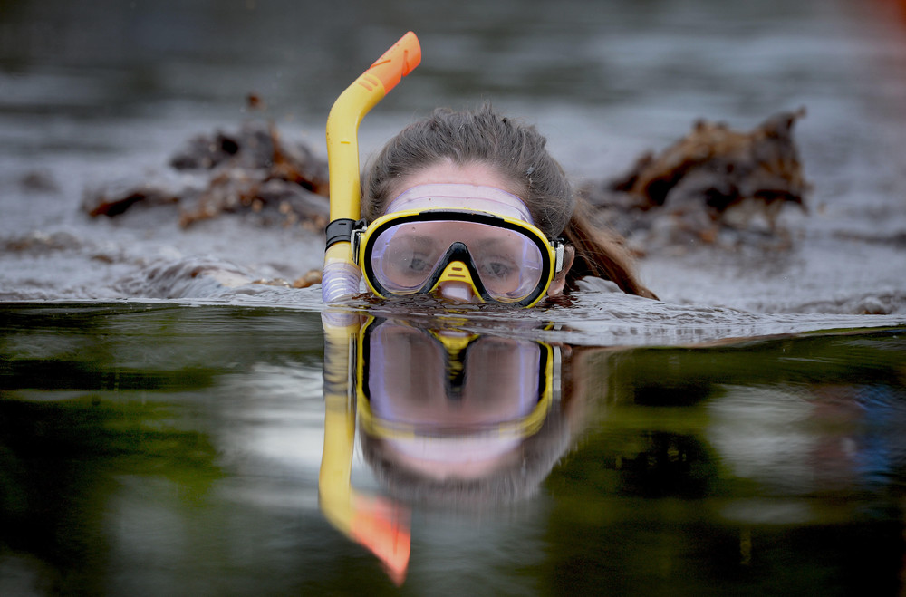Чемпионат подводного плаванья в болоте. Юмористические кадры, чтобы поднять настроение