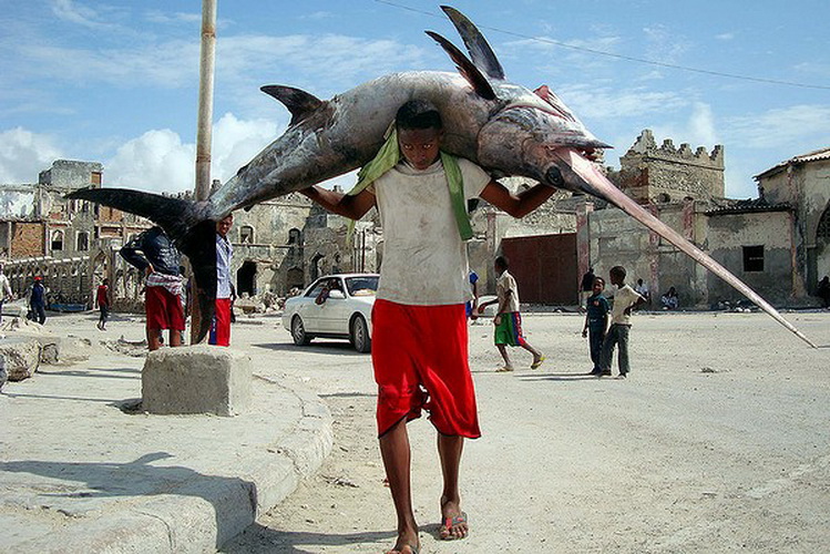 Крупный улов сомалийских рыбаков. Улыбайся с нами: смешные фото для вас