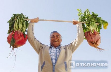 выставка гигантских овощей. Подборка картинок на тему здоровья и счастья
