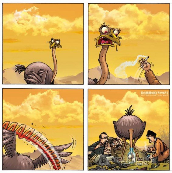 Ржачные приключения напуганного страуса. Юмористические комиксы, которые вызывают истерический смех