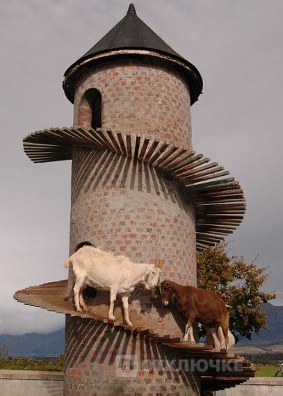 Башня для козлов. Впечатляющие фото горных пейзажей