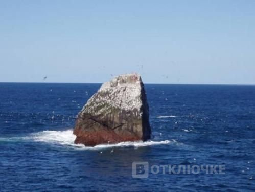 Роколл - камень в океане. Фото для хорошего настроения: забавные приколы