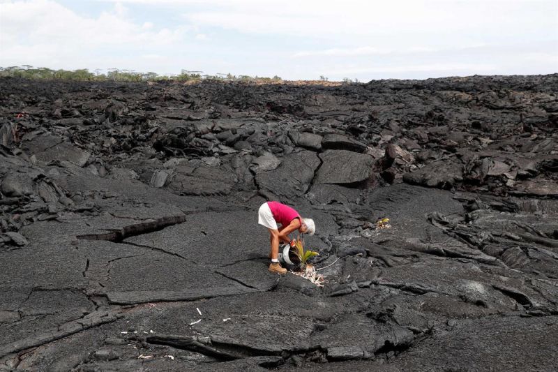 Как выглядят Гаваи через год после извержения вулкана