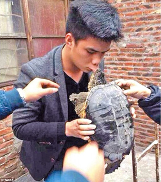 Никогда не целуйте черепах! Подборка фотографий, способных вызвать сильный смех