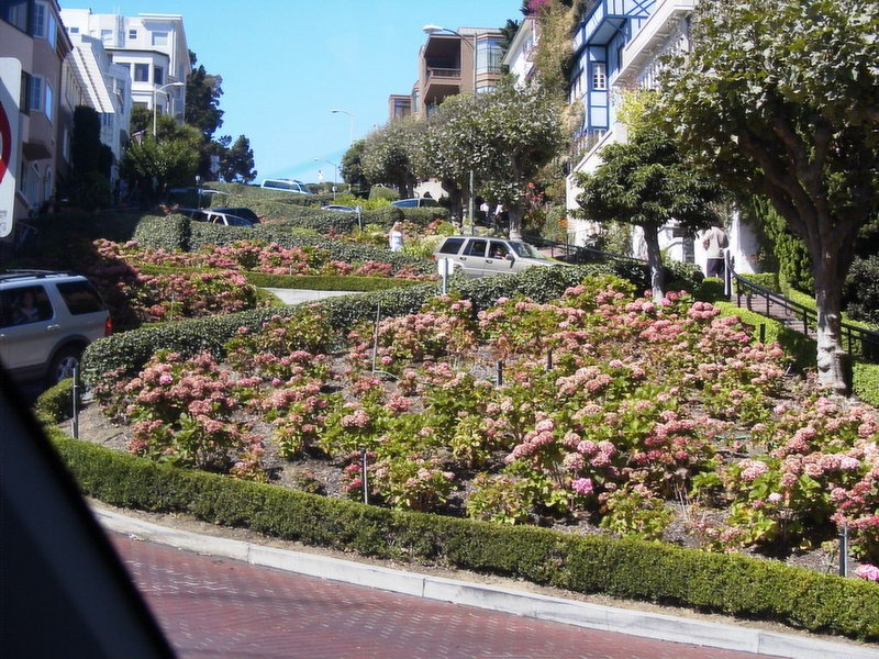 Lombard Street в Сан-Франциско. Смешные картинки для любителей юмора