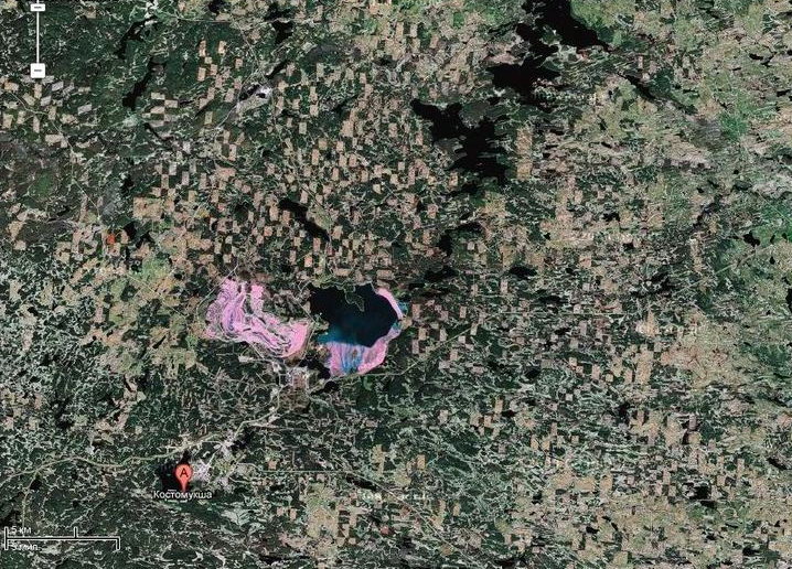 Вырубленный лес Карелии. Взгляни на мир глазами фотографа: классные фото из путешествий