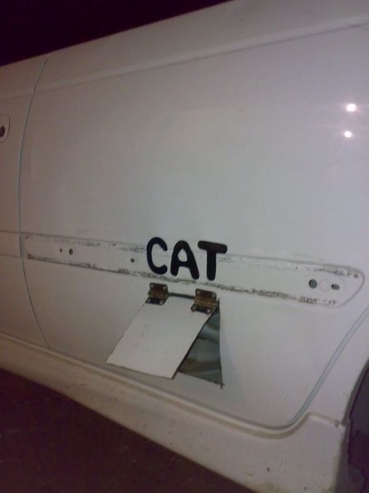 Дверь для любимого кота. Юмористические фото, чтобы улыбаться