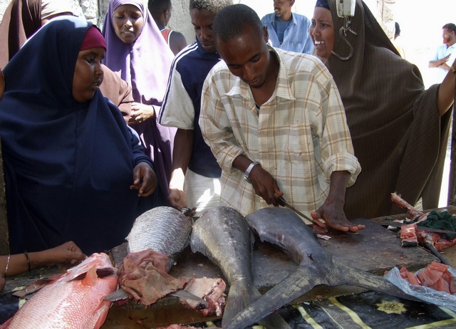 Крупный улов сомалийских рыбаков. Улыбайся с нами: смешные фото для вас