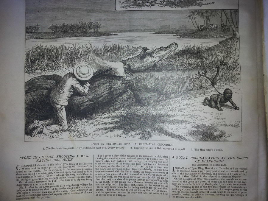 Как охотились на крокодилов в 19 веке. Юмор в оригинальных моментах на фотографиях
