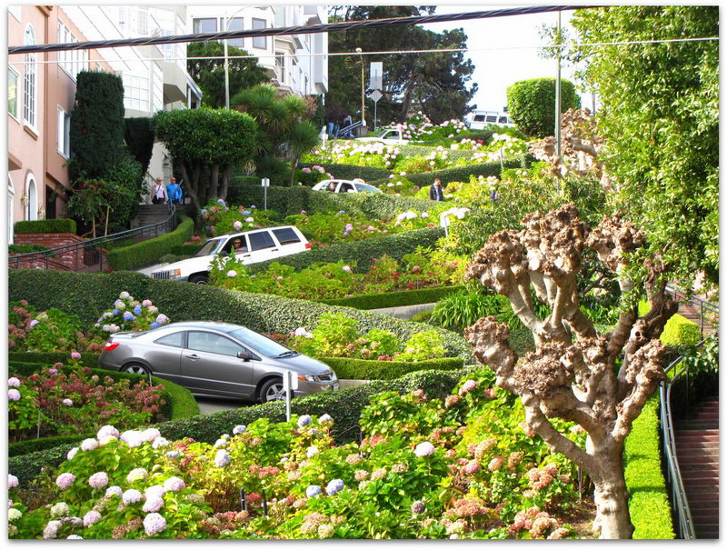 Lombard Street в Сан-Франциско. Смешные картинки для любителей юмора