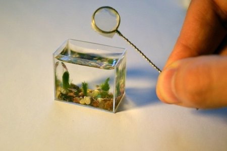 Самый маленький в мире аквариум с рыбками.. Очарование смеха: прикольные картинки для вашего настроения