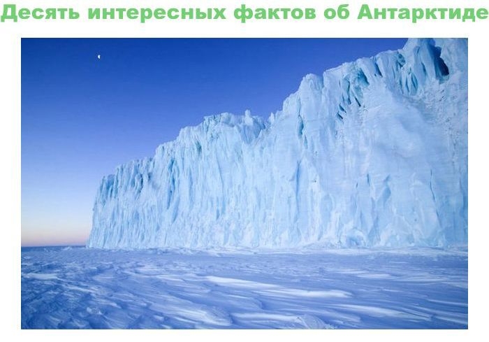 Антарктические факты.. Забавные демотивирующие картинки о досуге