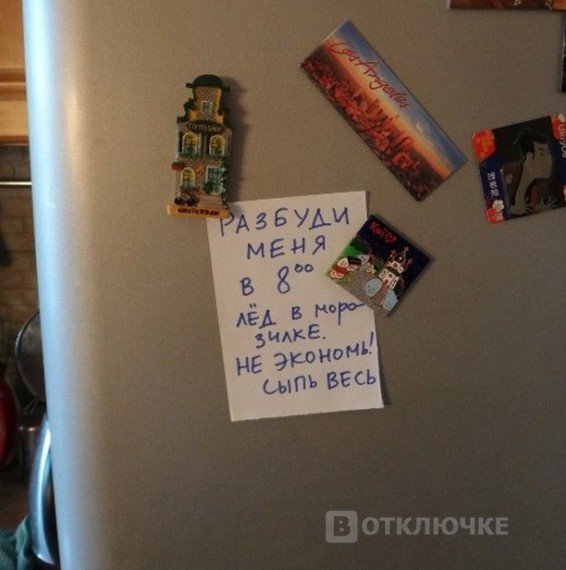 Сообщения на холодильниках. Здесь собраны только эксклюзивные юморные фото
