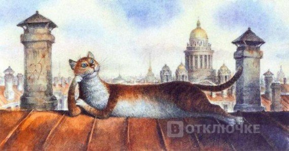 Питерские коты Владимира Румянцева. Смешные картинки на природу