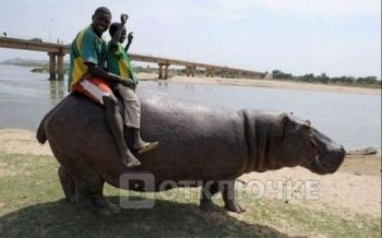 Тем временем в Африке..... Смешные картинки на праздник