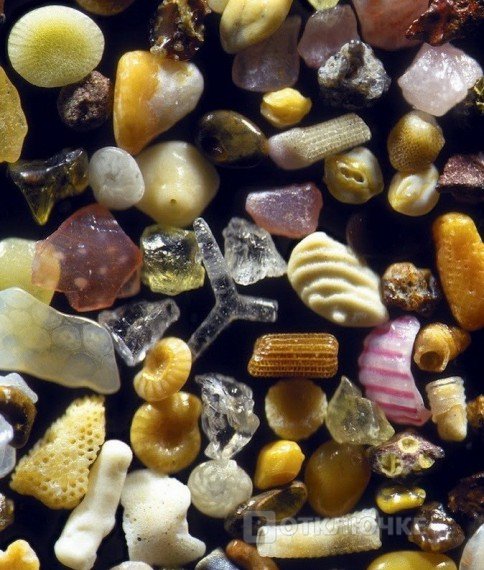 Песок под микроскопом.... Забавные кадры, чтобы поделиться с друзьями
