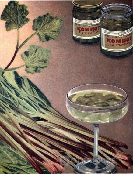 Советская книга о вкусном и здоровом питании. Смешные фотографии, которые вызовут улыбку