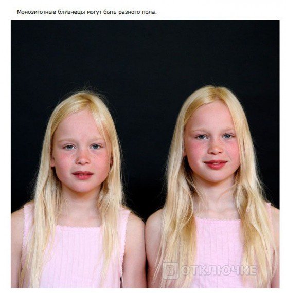 Интересные факты о близнецах. Демотиваторы для повышения самооценки