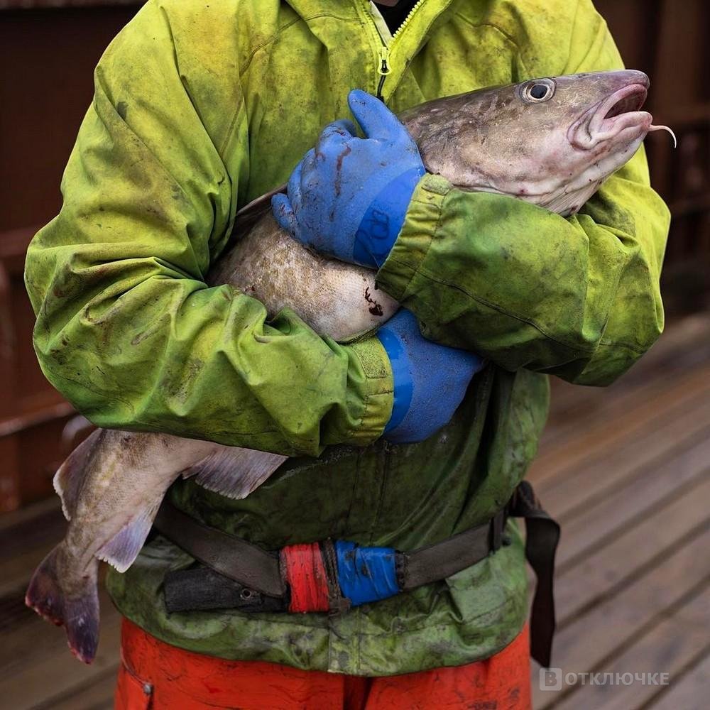 Суровая жизнь рыбаков Аляски. Эмоциональный портрет: классные фото, запечатлевшие внутренний мир