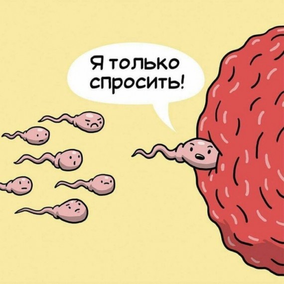 10 смешных комиксов о том, что чувствуют органы внутри нас