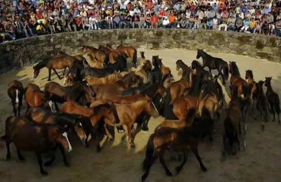Испанский фестиваль "Оседлай лошадку". Фото, которые приводят в добролюбивый смех