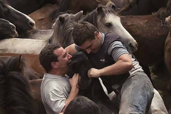Испанский фестиваль "Оседлай лошадку". Фото, которые приводят в добролюбивый смех
