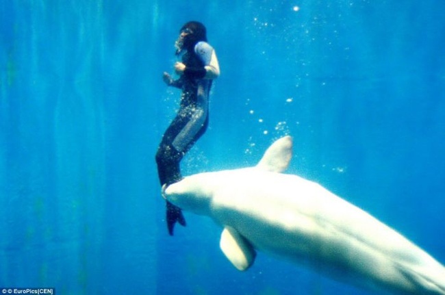 Как дельфин человеку жизнь спас. Эмоциональный портрет: классные фото, запечатлевшие внутренний мир
