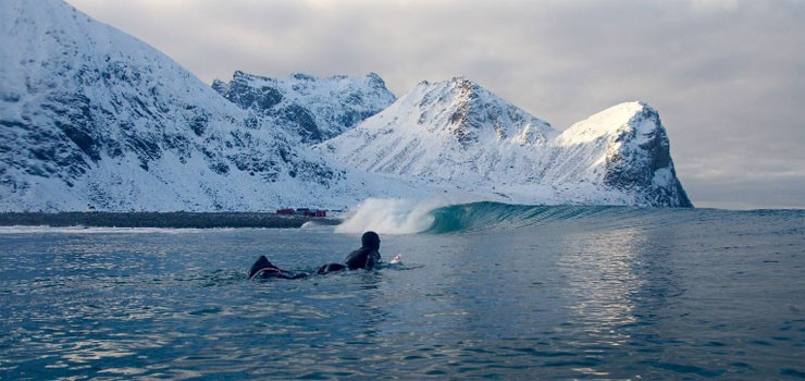 Серфинг в Арктике. Доза смеха: прикольные картинки на выбор